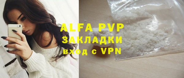 шишки Майский