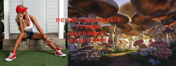 a pvp Липки