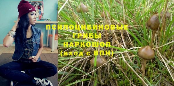 шишки Майский